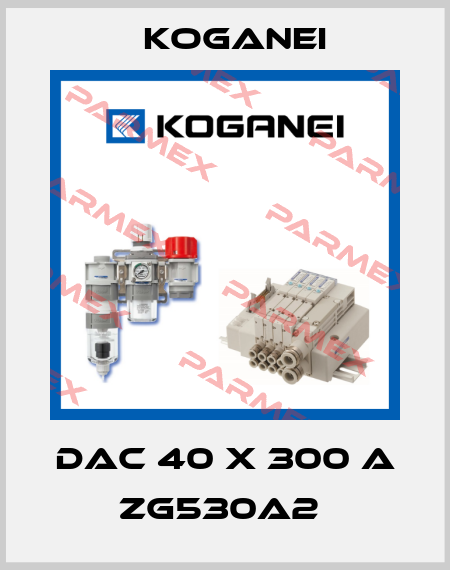 DAC 40 X 300 A ZG530A2  Koganei
