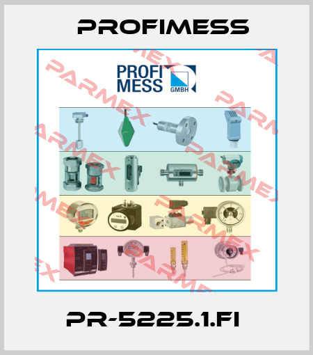PR-5225.1.FI  Profimess