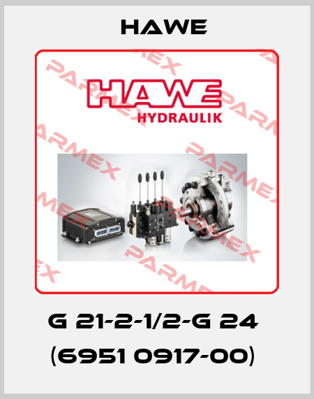 G 21-2-1/2-G 24  (6951 0917-00)  Hawe