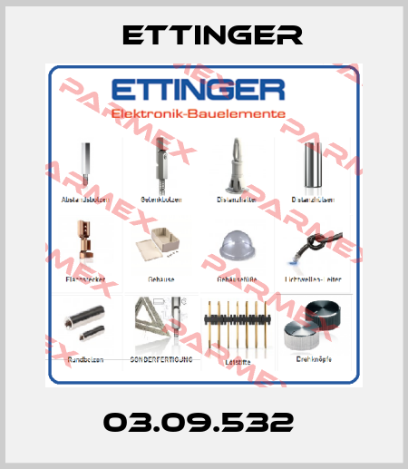 03.09.532  Ettinger