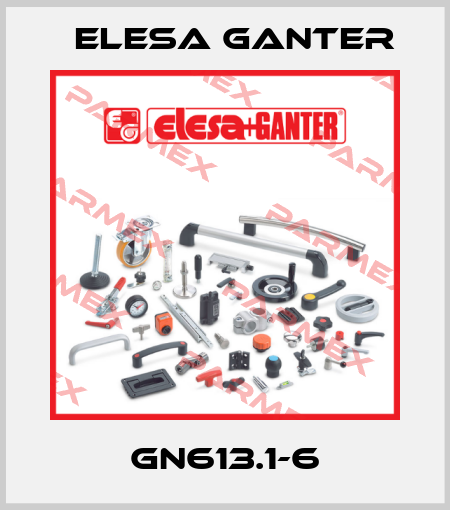 GN613.1-6 Elesa Ganter