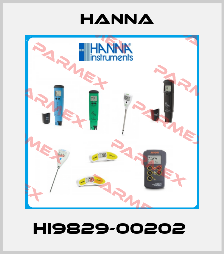 HI9829-00202  Hanna