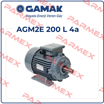 AGM2E 200 L 4 Gamak