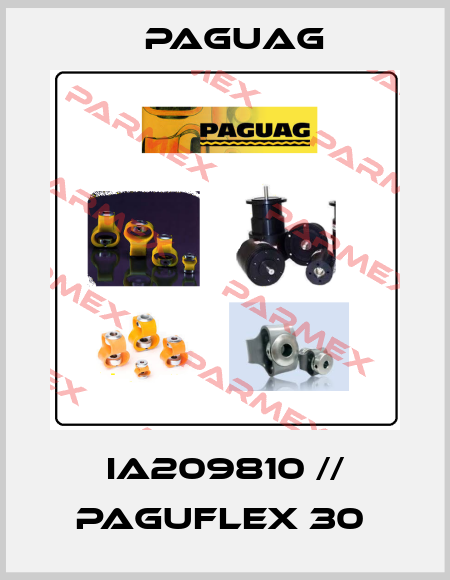 IA209810 // PAGUFLEX 30  Paguag