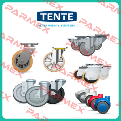 9958FTP150P65 (Teilenummer: 00806805-GS) Tente