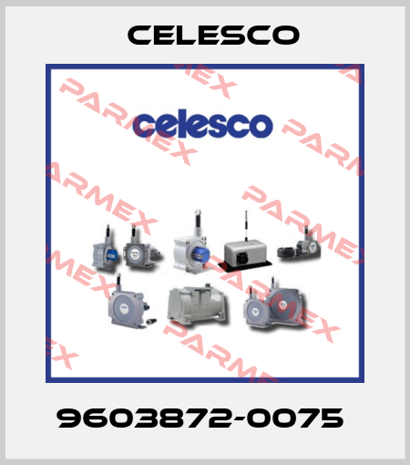 9603872-0075  Celesco