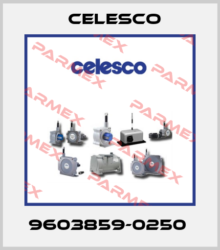 9603859-0250  Celesco