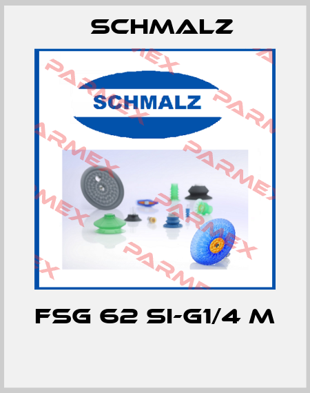 FSG 62 SI-G1/4 M  Schmalz
