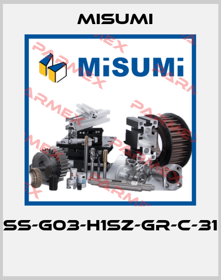 SS-G03-H1SZ-GR-C-31  Misumi