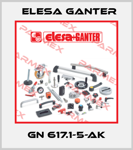 GN 617.1-5-AK Elesa Ganter