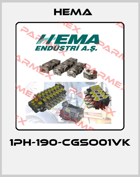 1PH-190-CGSO01VK  Hema