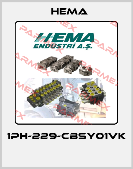 1PH-229-CBSY01VK  Hema