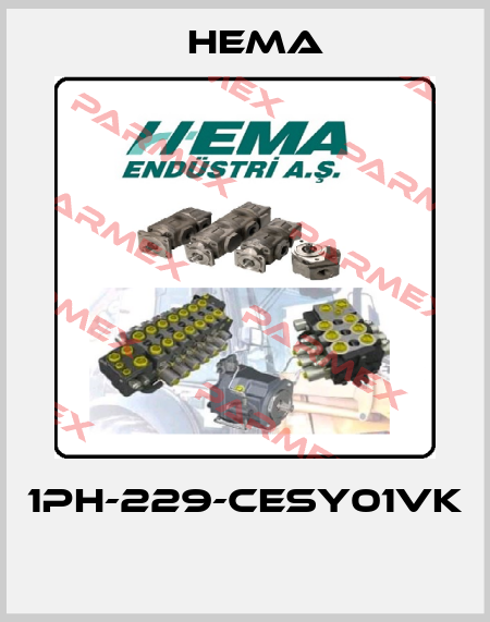 1PH-229-CESY01VK  Hema