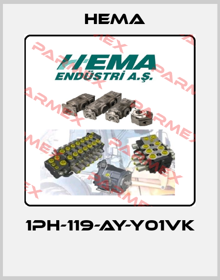 1PH-119-AY-Y01VK  Hema