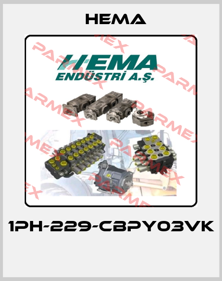 1PH-229-CBPY03VK  Hema