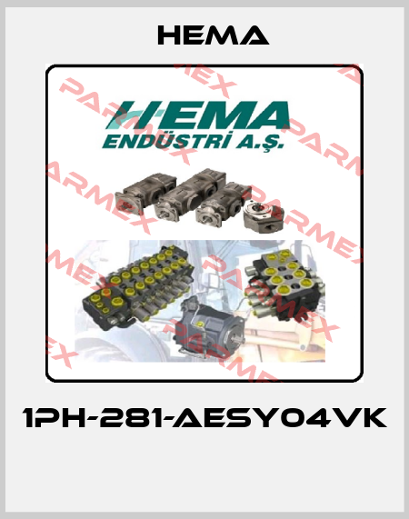 1PH-281-AESY04VK  Hema