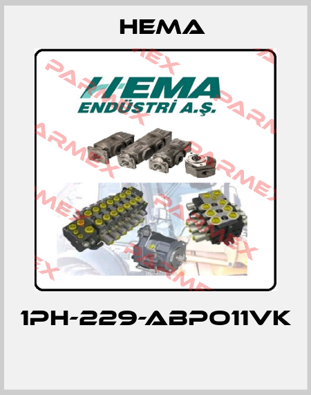 1PH-229-ABPO11VK  Hema