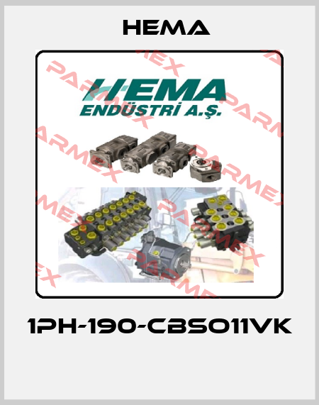 1PH-190-CBSO11VK  Hema