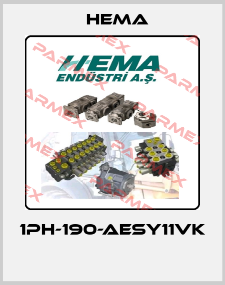 1PH-190-AESY11VK  Hema