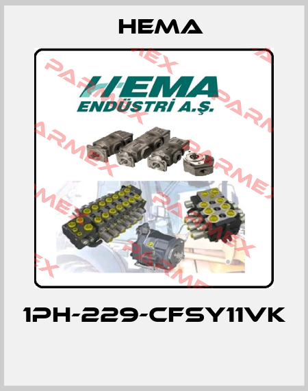 1PH-229-CFSY11VK  Hema