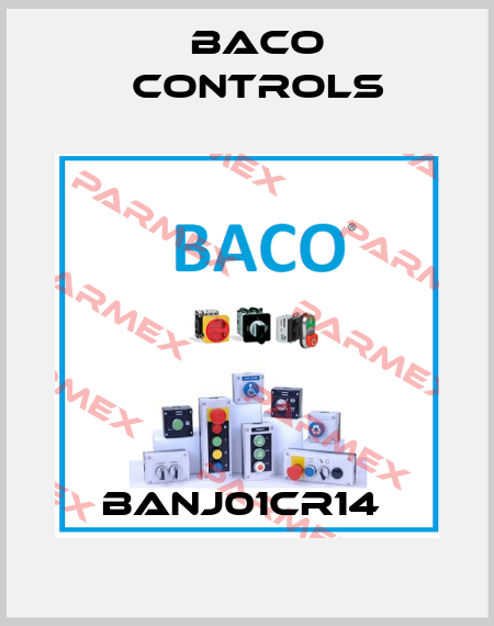 BANJ01CR14  Baco Controls