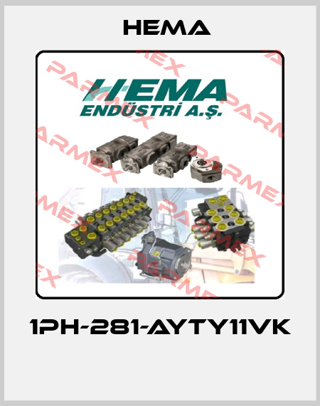 1PH-281-AYTY11VK  Hema