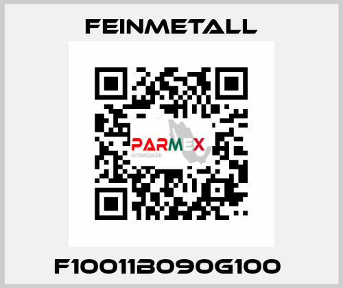 F10011B090G100  FEINMETALL