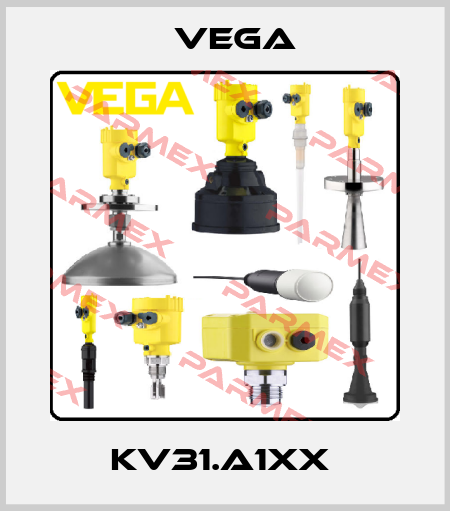 KV31.A1XX  Vega