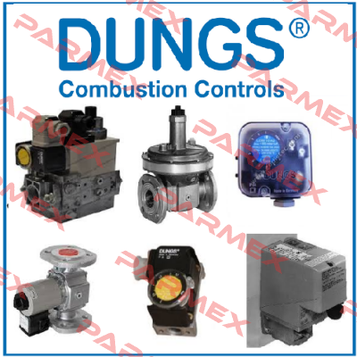 BCS 301 GAS CONTROL UNIT  Dungs