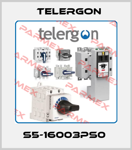 S5-16003PS0  Telergon