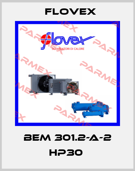 BEM 301.2-A-2 HP30  Flovex