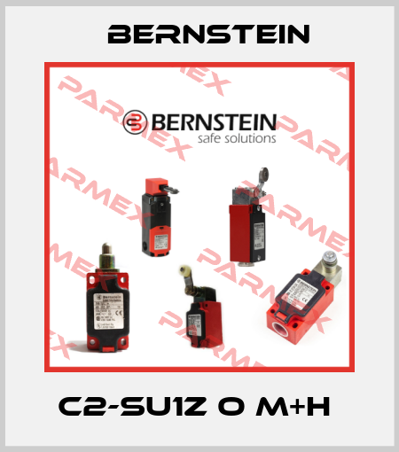C2-SU1Z O M+H  Bernstein
