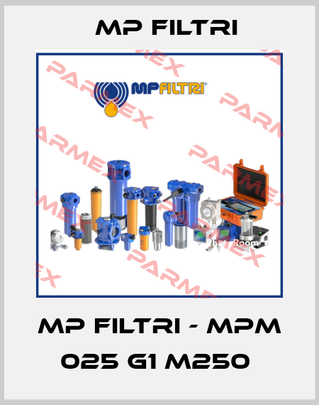 MP Filtri - MPM 025 G1 M250  MP Filtri