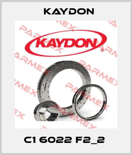 C1 6022 F2_2  Kaydon
