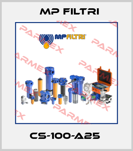 CS-100-A25  MP Filtri