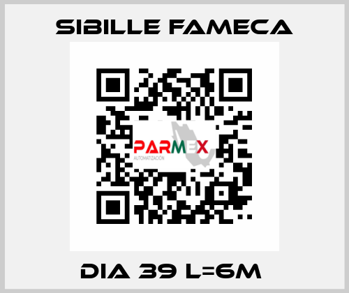 DIA 39 L=6M  Sibille Fameca