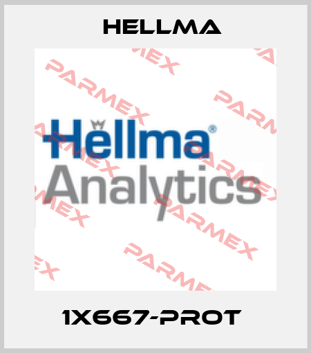 1X667-Prot  Hellma