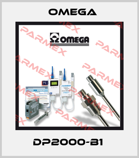 DP2000-B1  Omega