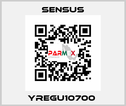 YREGU10700  Sensus