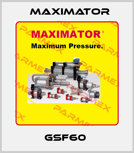 GSF60  Maximator