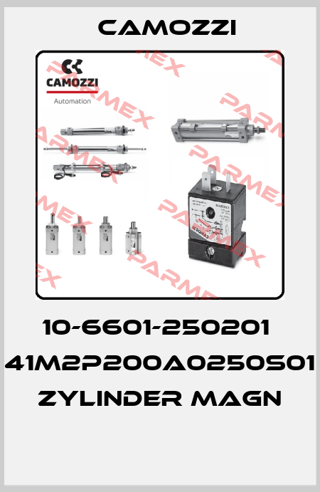 10-6601-250201  41M2P200A0250S01 ZYLINDER MAGN  Camozzi