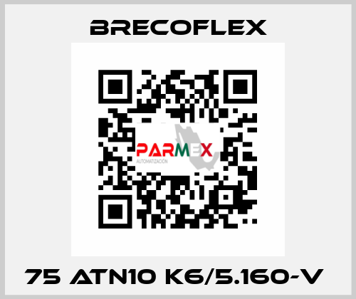 75 ATN10 K6/5.160-V  Brecoflex