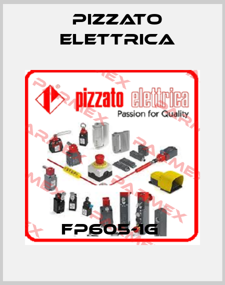 FP605-1G  Pizzato Elettrica