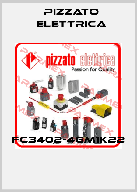 FC3402-4GM1K22  Pizzato Elettrica