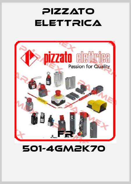 FR 501-4GM2K70  Pizzato Elettrica
