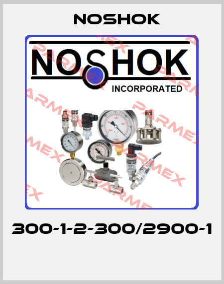 300-1-2-300/2900-1  Noshok