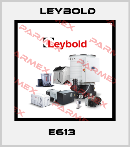E613   Leybold