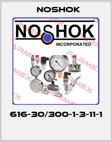 616-30/300-1-3-11-1  Noshok