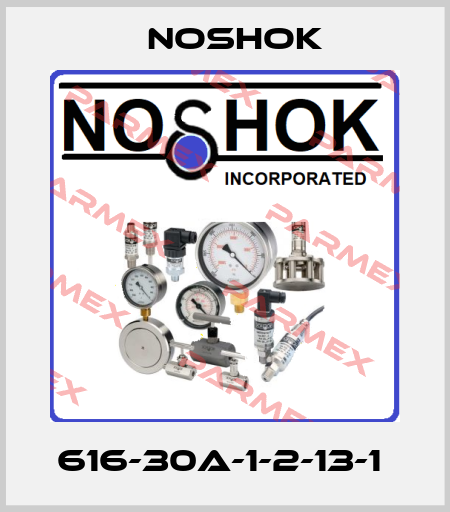 616-30A-1-2-13-1  Noshok