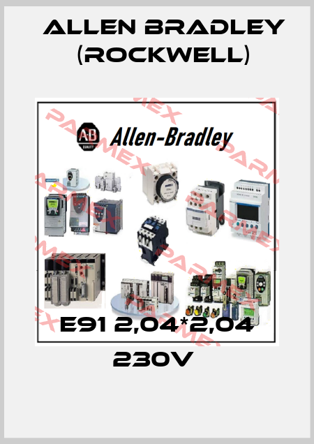 E91 2,04*2,04 230V  Allen Bradley (Rockwell)
